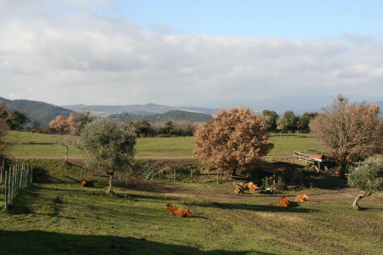 Farmhouse Tuscany Villa Montecastelli Pisano Exterior photo