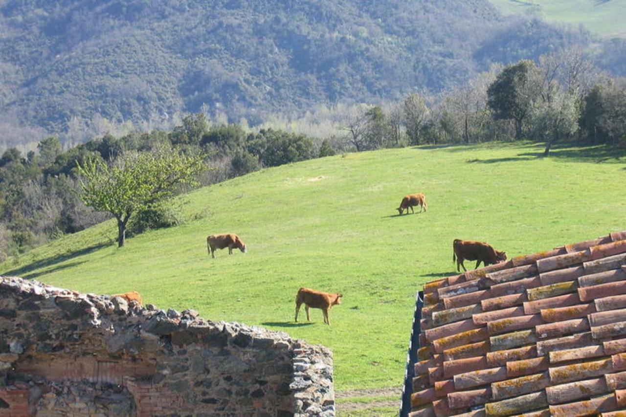 Farmhouse Tuscany Villa Montecastelli Pisano Exterior photo